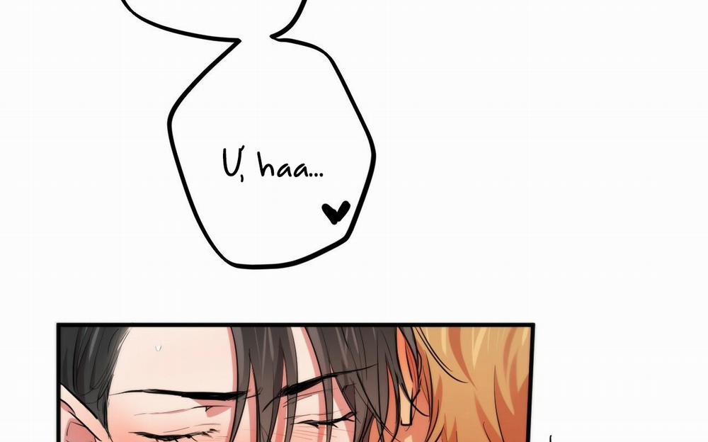 Những Chú Thỏ Của Hapypy 38 trang 197