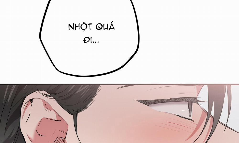 Những Chú Thỏ Của Hapypy 38 trang 20