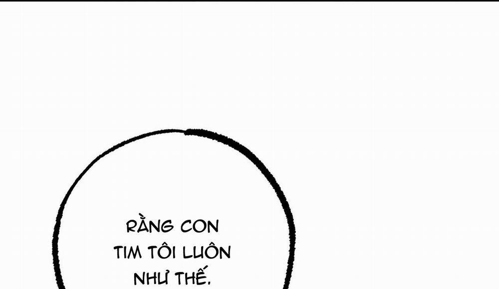 Những Chú Thỏ Của Hapypy 38 trang 219