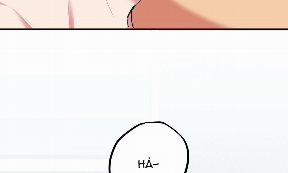 Những Chú Thỏ Của Hapypy 38 trang 22