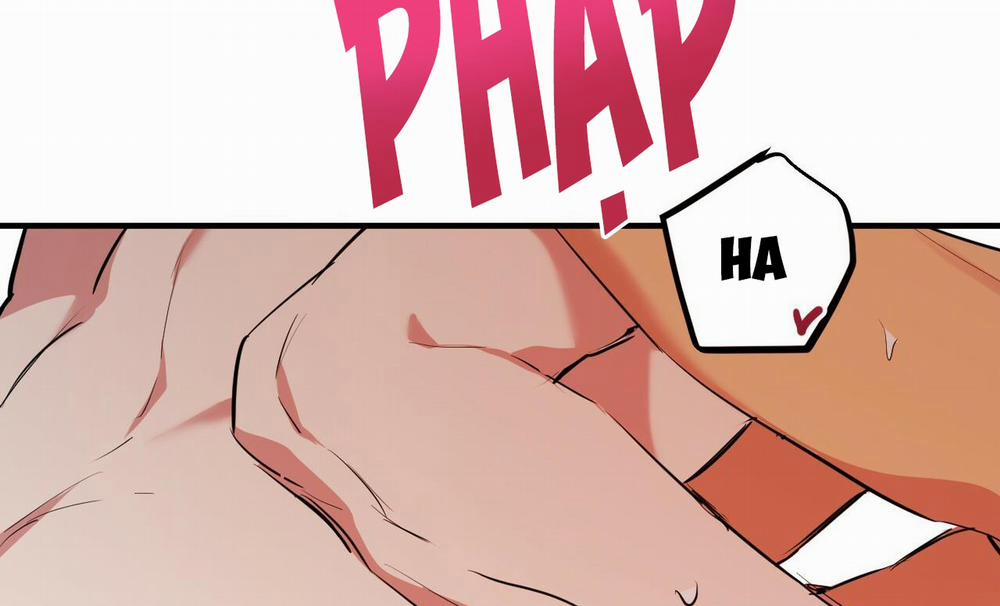 Những Chú Thỏ Của Hapypy 38 trang 246