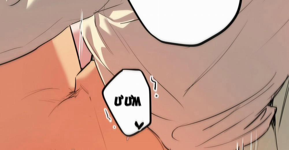 Những Chú Thỏ Của Hapypy 38 trang 255