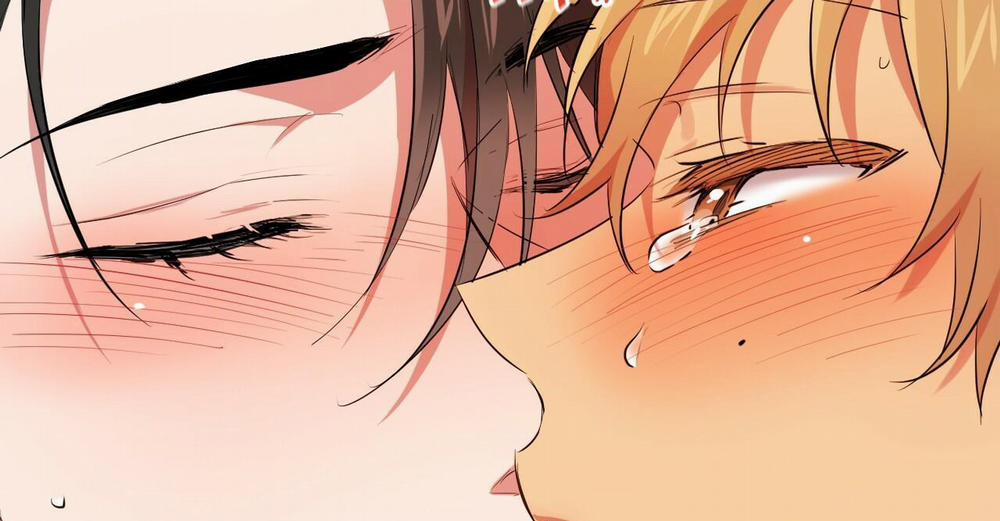 Những Chú Thỏ Của Hapypy 38 trang 257