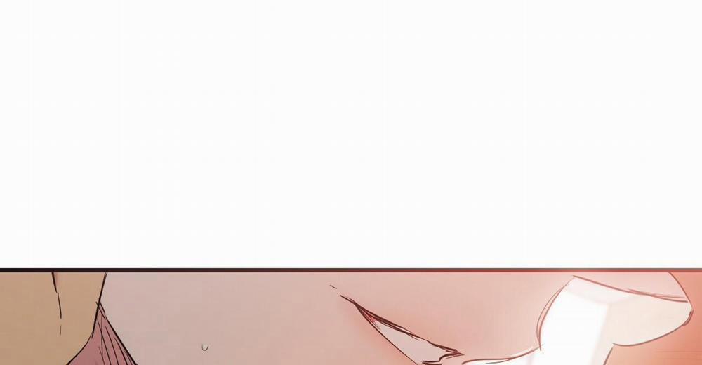 Những Chú Thỏ Của Hapypy 38 trang 261