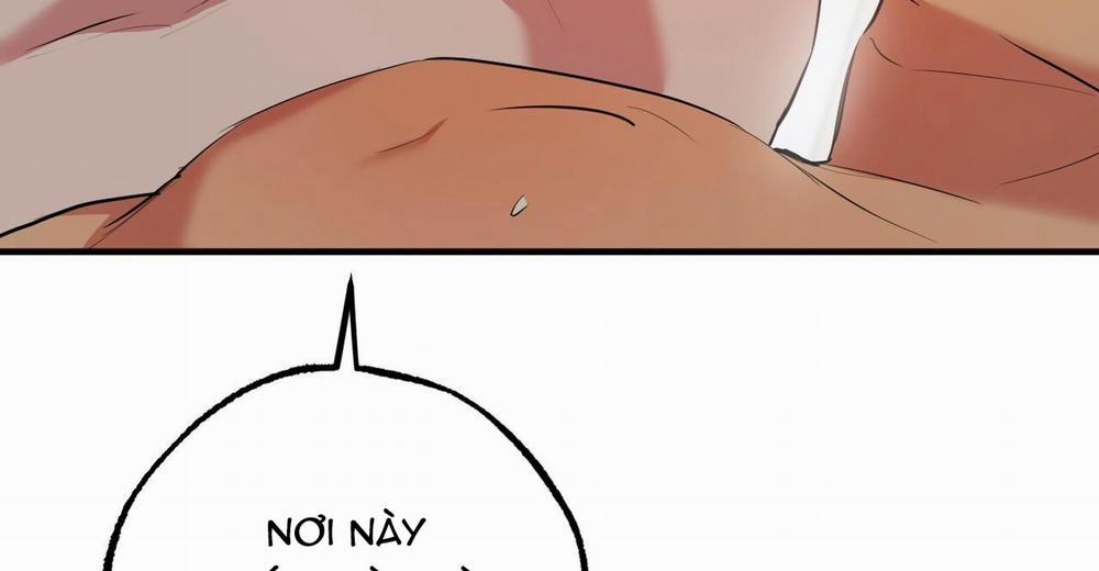 Những Chú Thỏ Của Hapypy 38 trang 263