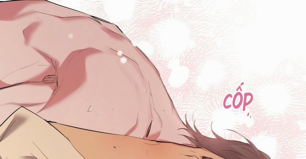 Những Chú Thỏ Của Hapypy 38 trang 266