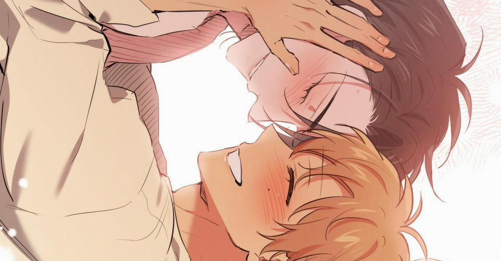 Những Chú Thỏ Của Hapypy 38 trang 267