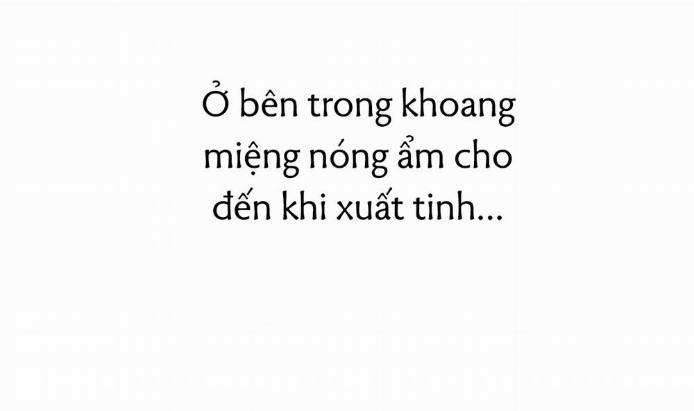 Những Chú Thỏ Của Hapypy 38 trang 44