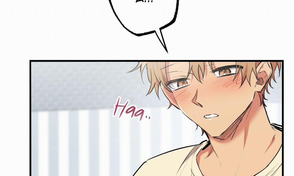 Những Chú Thỏ Của Hapypy 38 trang 8