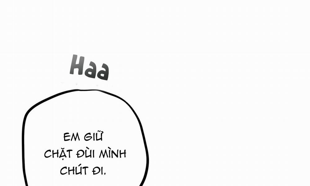 Những Chú Thỏ Của Hapypy 38 trang 82