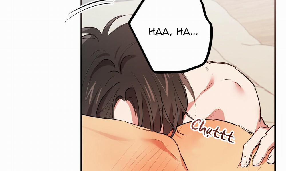 Những Chú Thỏ Của Hapypy 38 trang 92