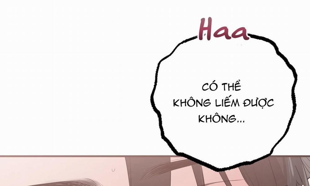 Những Chú Thỏ Của Hapypy 38 trang 97