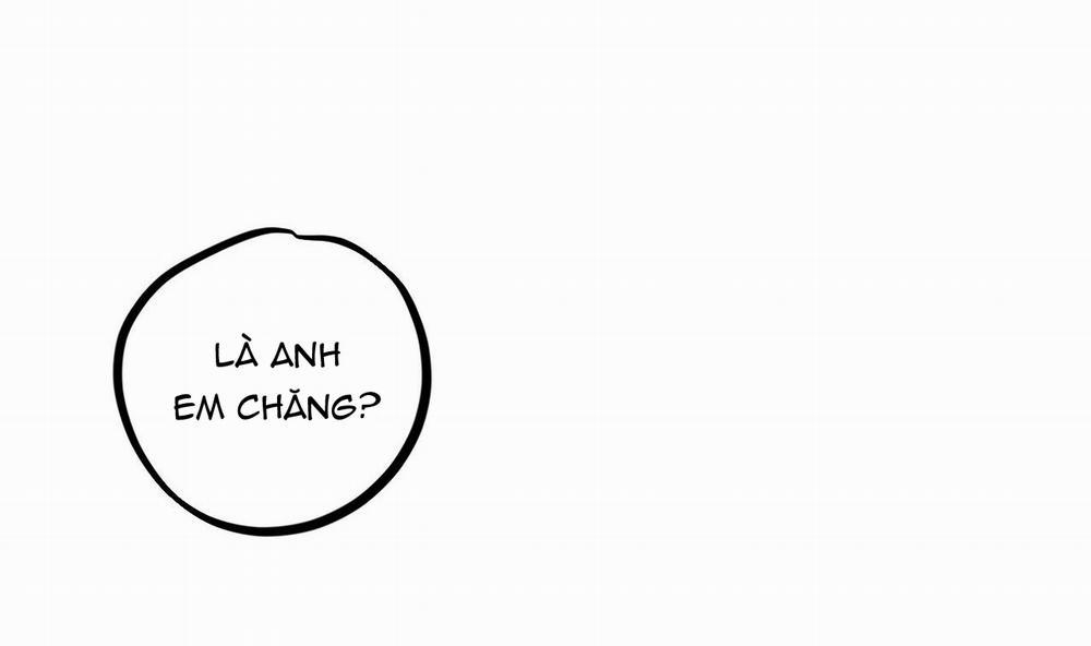 Những Chú Thỏ Của Hapypy 39 trang 110