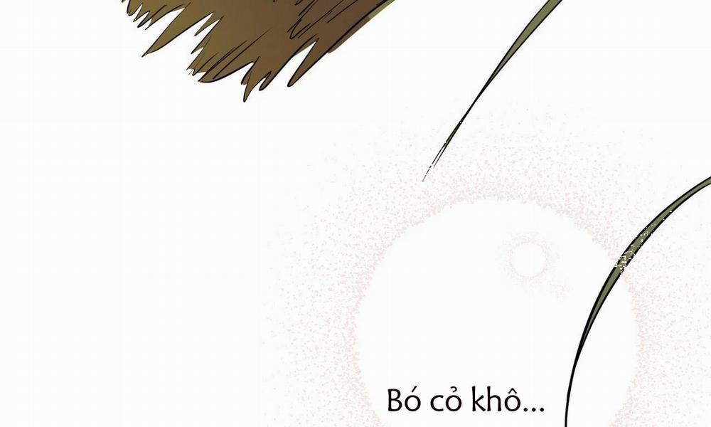 Những Chú Thỏ Của Hapypy 39 trang 12