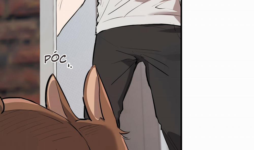 Những Chú Thỏ Của Hapypy 39 trang 124