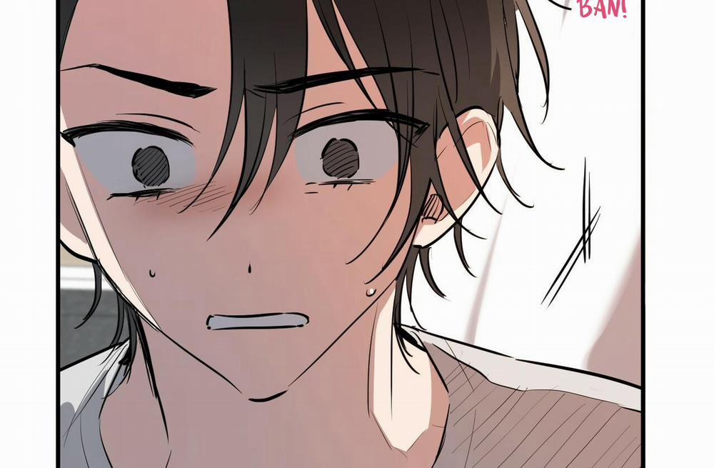 Những Chú Thỏ Của Hapypy 39 trang 145