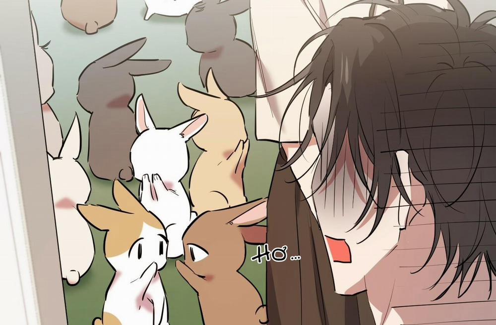 Những Chú Thỏ Của Hapypy 39 trang 149