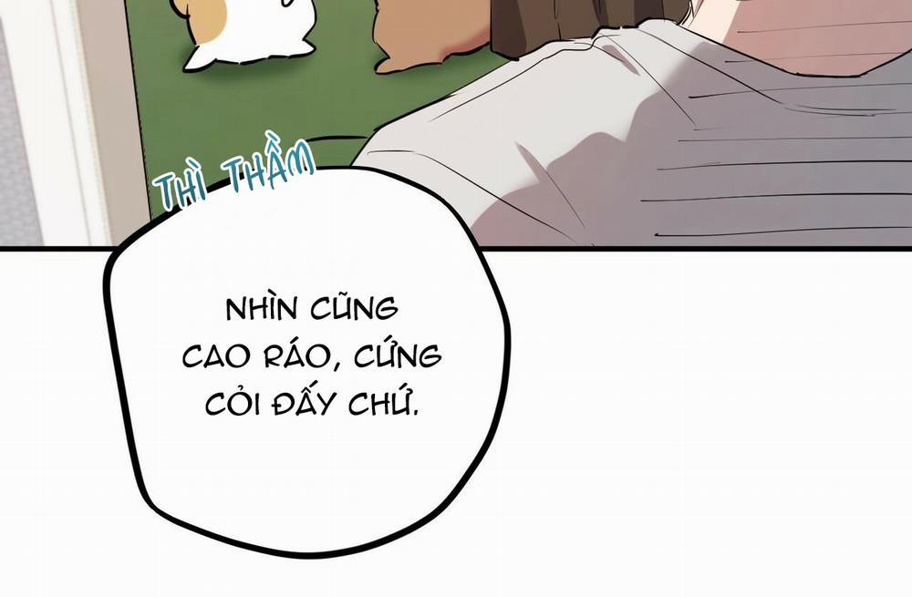 Những Chú Thỏ Của Hapypy 39 trang 150