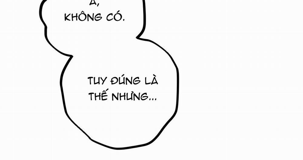 Những Chú Thỏ Của Hapypy 39 trang 164