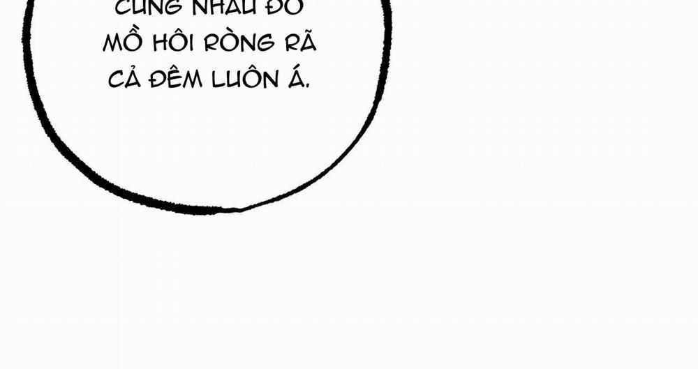 Những Chú Thỏ Của Hapypy 39 trang 170