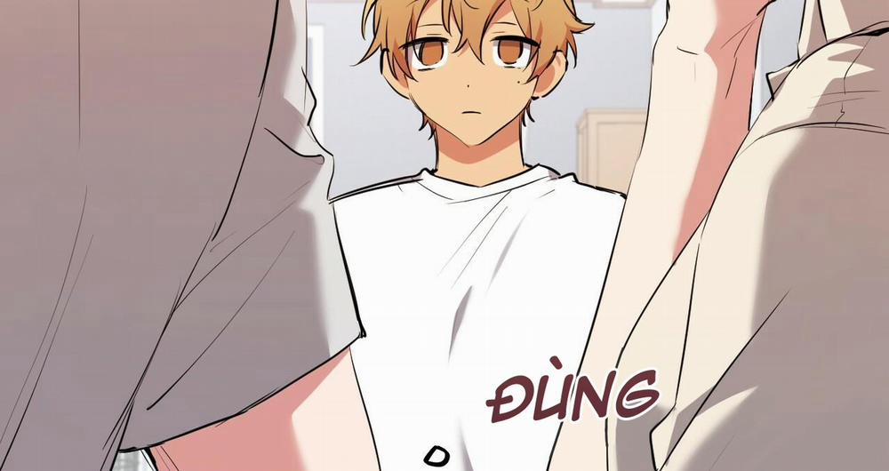 Những Chú Thỏ Của Hapypy 39 trang 174