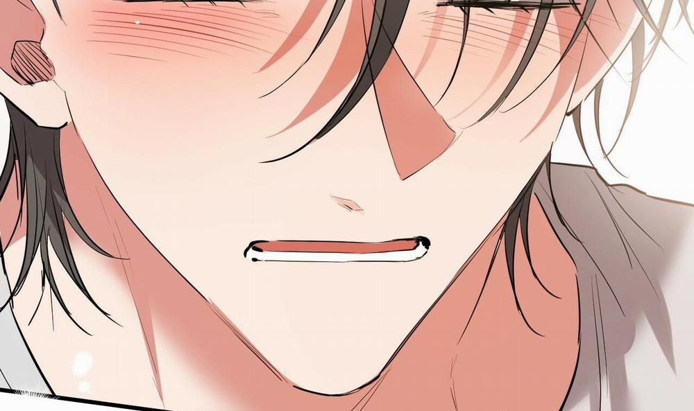 Những Chú Thỏ Của Hapypy 39 trang 213