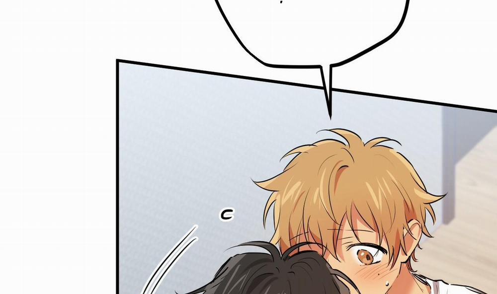 Những Chú Thỏ Của Hapypy 39 trang 216