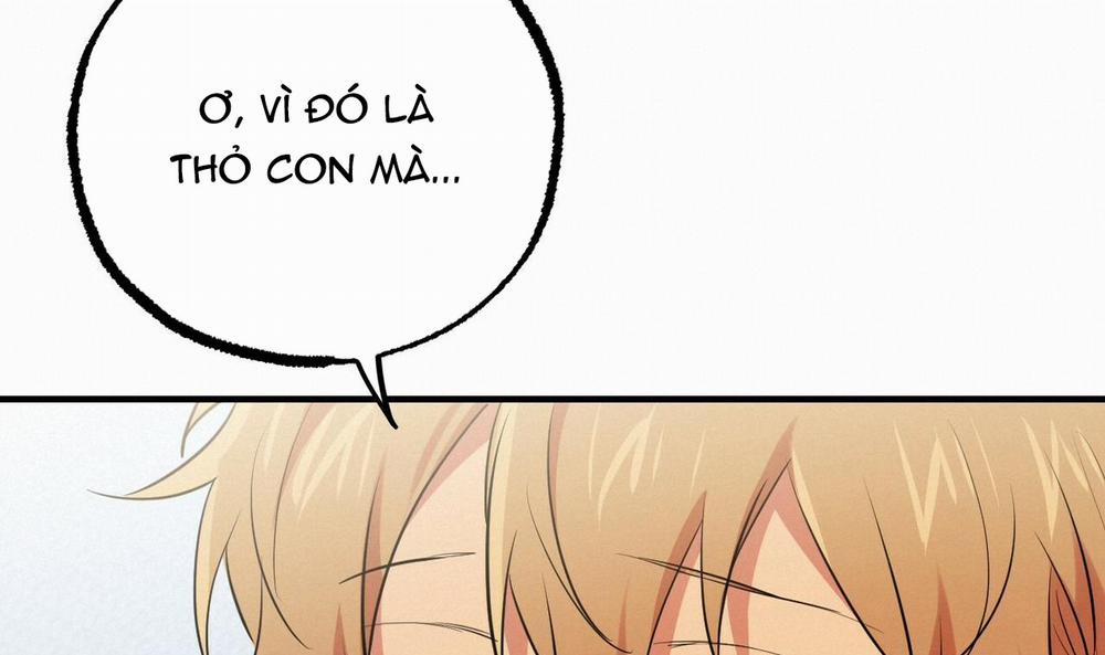 Những Chú Thỏ Của Hapypy 39 trang 221