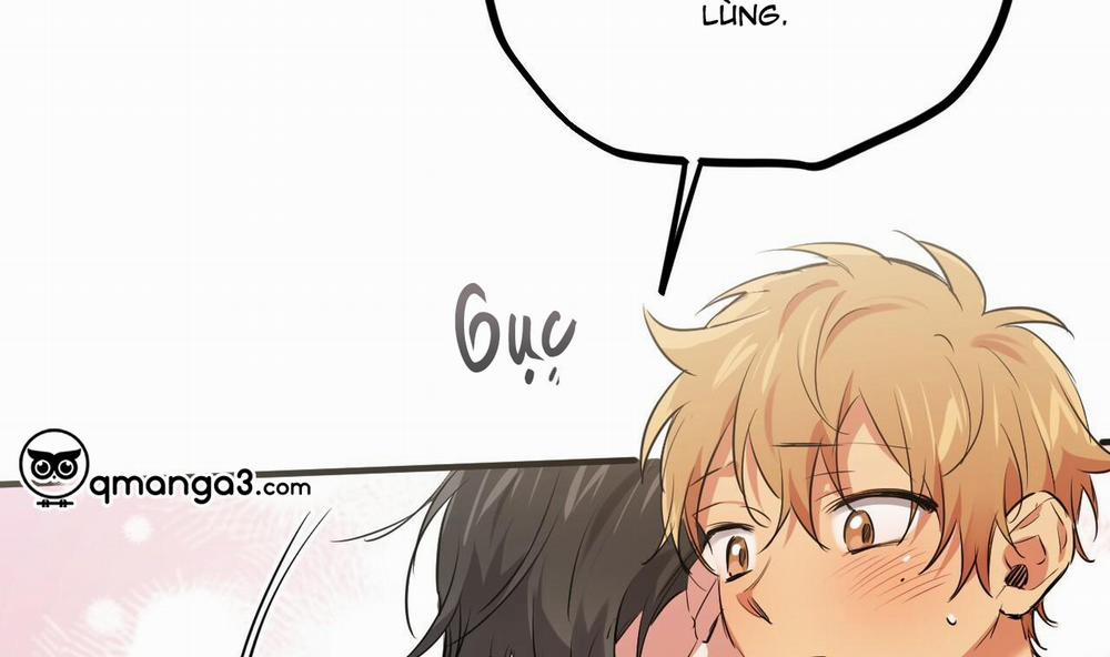 Những Chú Thỏ Của Hapypy 39 trang 237