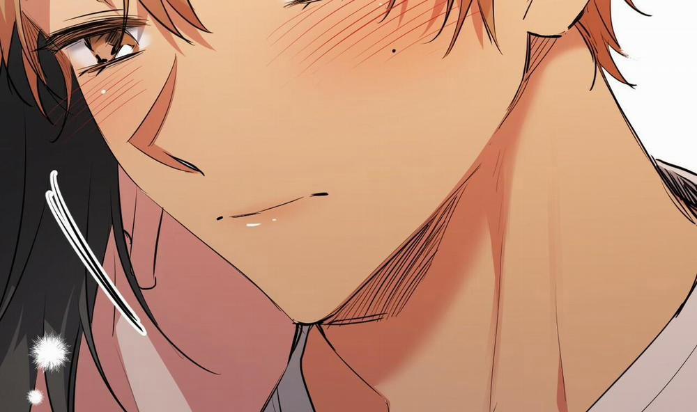 Những Chú Thỏ Của Hapypy 39 trang 241