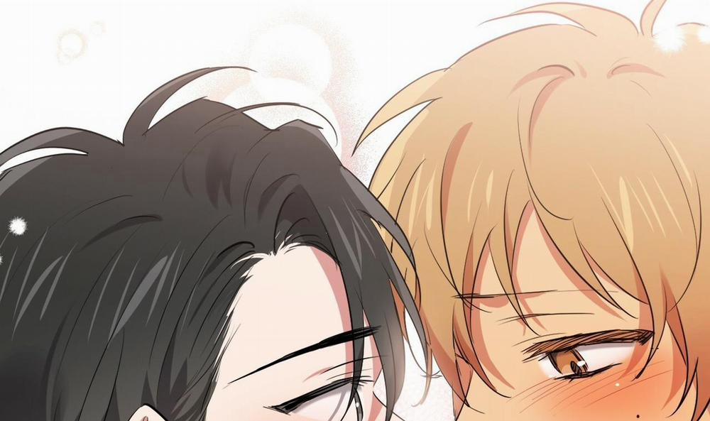 Những Chú Thỏ Của Hapypy 39 trang 246