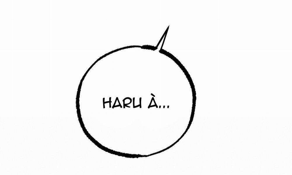 Những Chú Thỏ Của Hapypy 39 trang 252