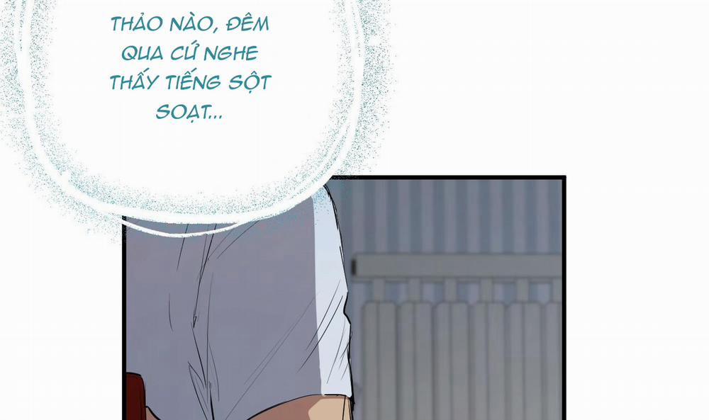 Những Chú Thỏ Của Hapypy 39 trang 40