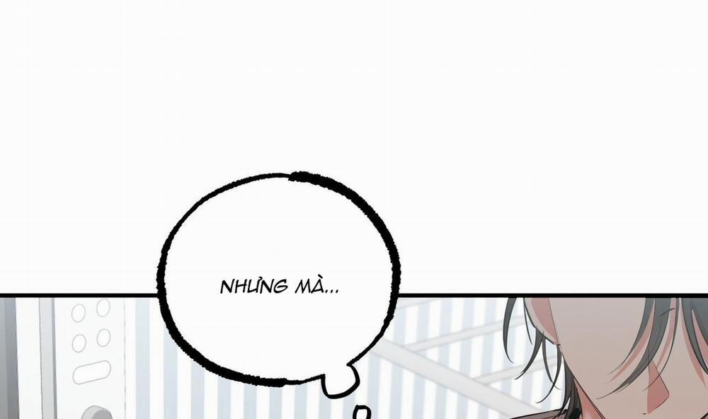 Những Chú Thỏ Của Hapypy 39 trang 43