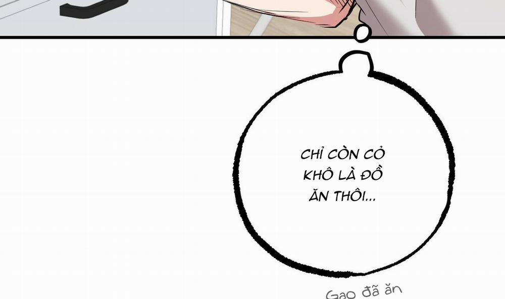 Những Chú Thỏ Của Hapypy 39 trang 45