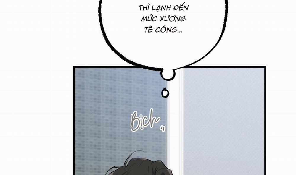 Những Chú Thỏ Của Hapypy 39 trang 52