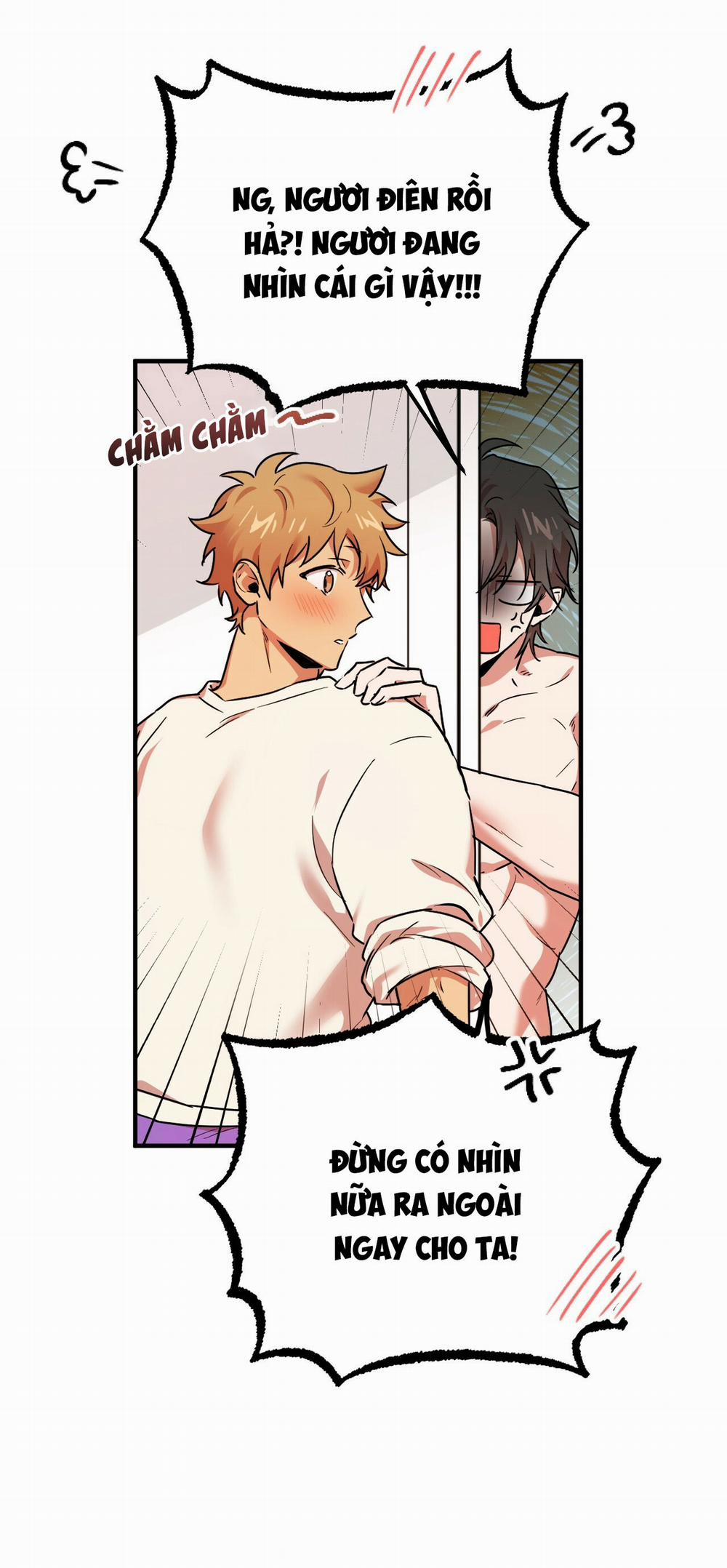 Những Chú Thỏ Của Hapypy 4 trang 11