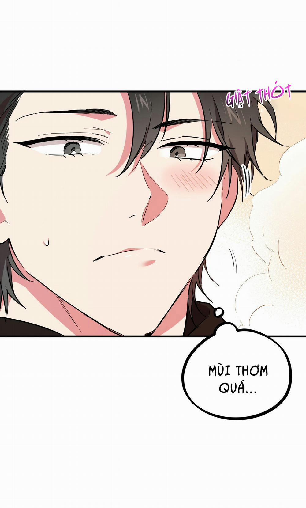 Những Chú Thỏ Của Hapypy 4 trang 46