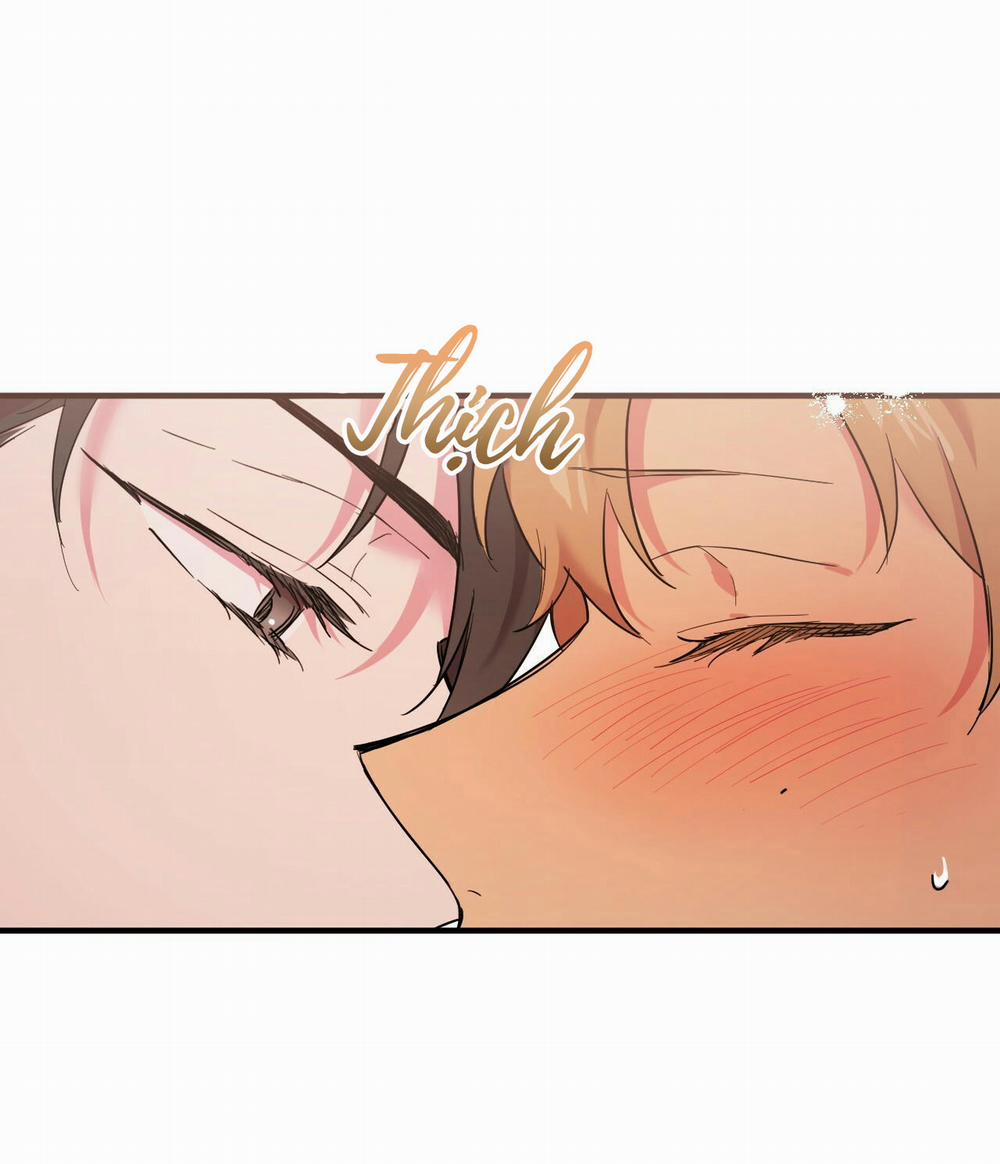 Những Chú Thỏ Của Hapypy 4 trang 76