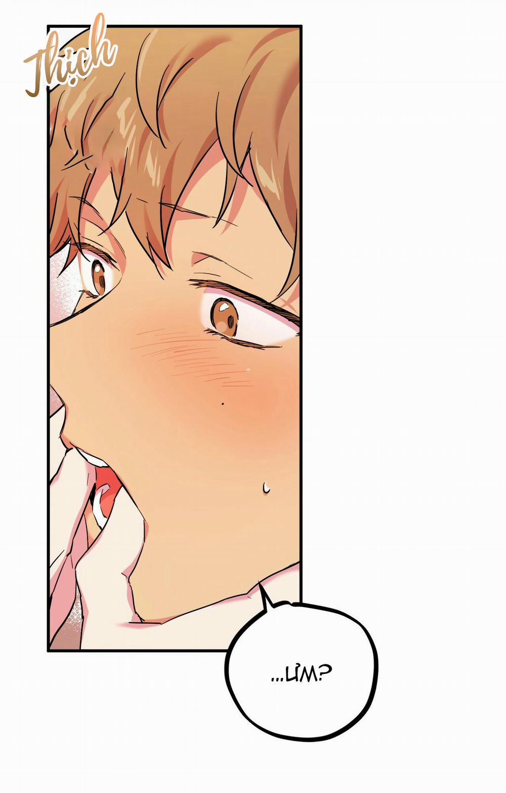 Những Chú Thỏ Của Hapypy 4 trang 78