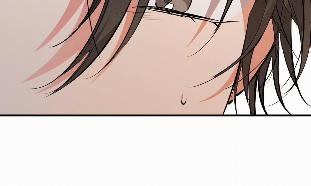 Những Chú Thỏ Của Hapypy 40 trang 15