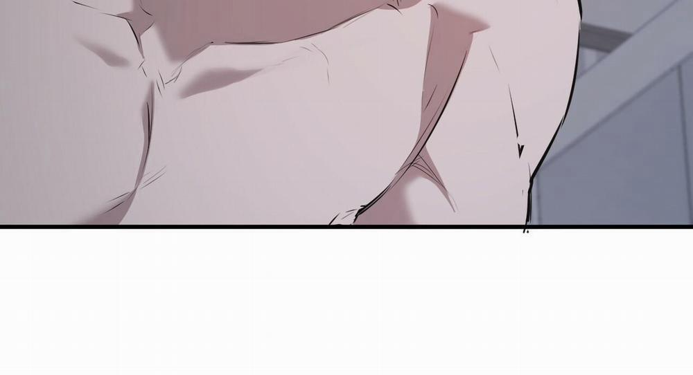 Những Chú Thỏ Của Hapypy 40 trang 165