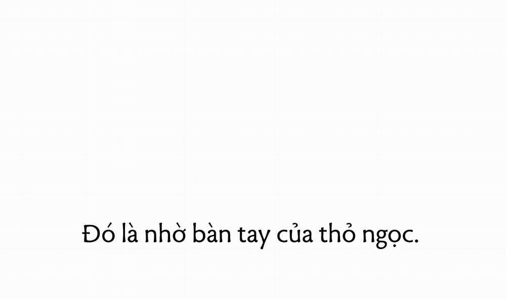 Những Chú Thỏ Của Hapypy 40 trang 223