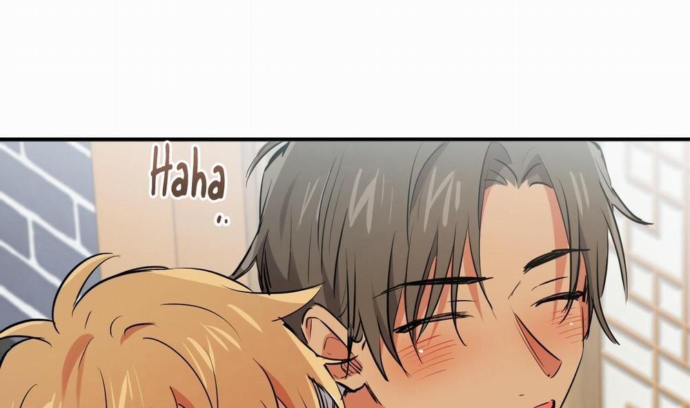 Những Chú Thỏ Của Hapypy 40 trang 244