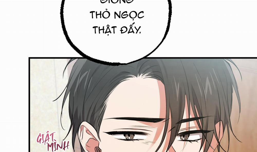 Những Chú Thỏ Của Hapypy 40 trang 45