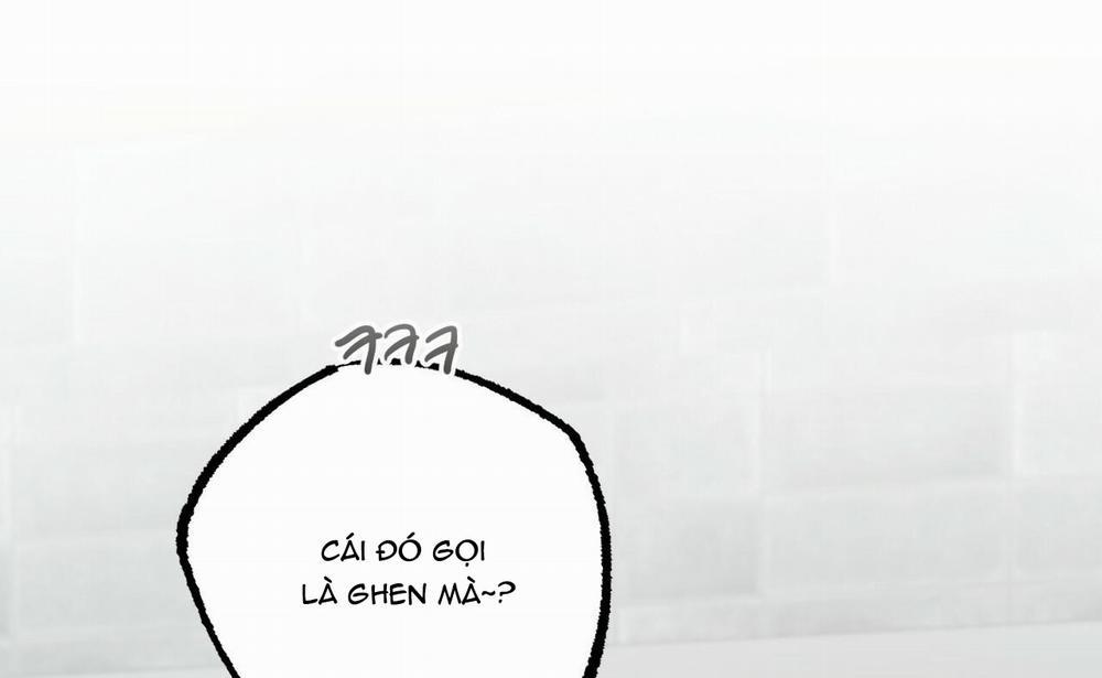 Những Chú Thỏ Của Hapypy 41 trang 11