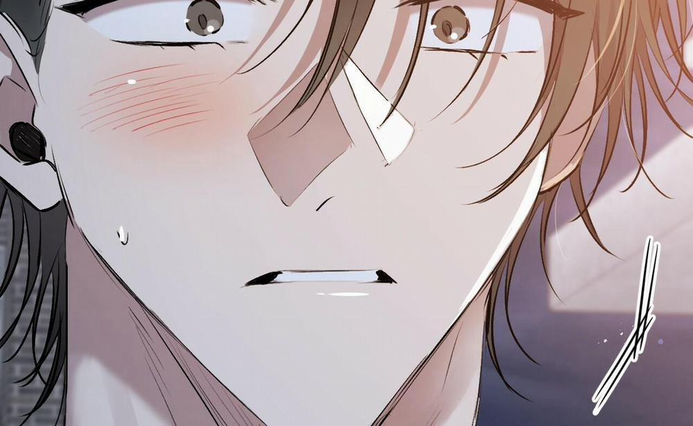 Những Chú Thỏ Của Hapypy 41 trang 115