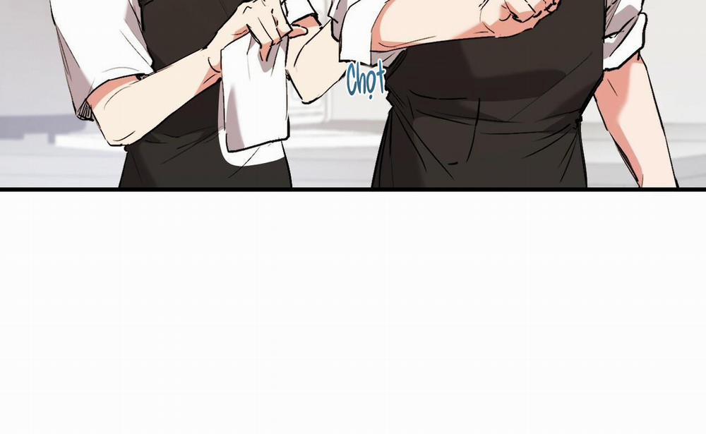 Những Chú Thỏ Của Hapypy 41 trang 13