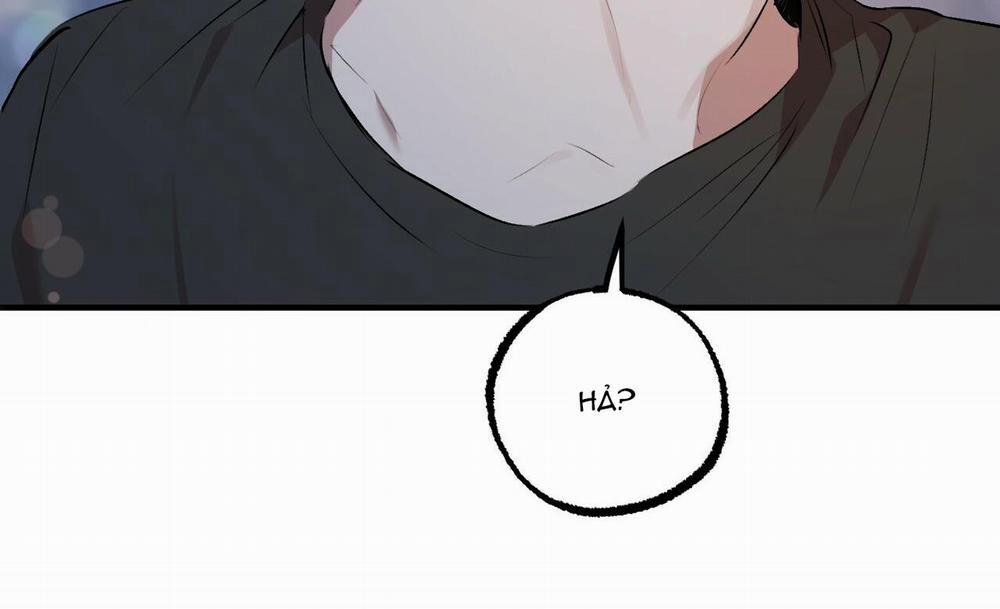 Những Chú Thỏ Của Hapypy 41 trang 140