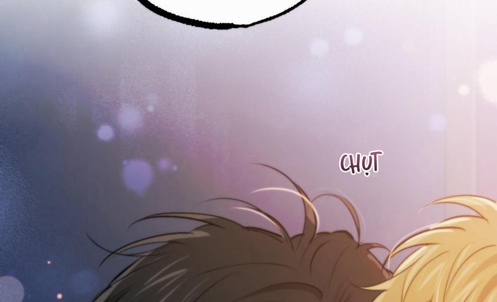 Những Chú Thỏ Của Hapypy 41 trang 156